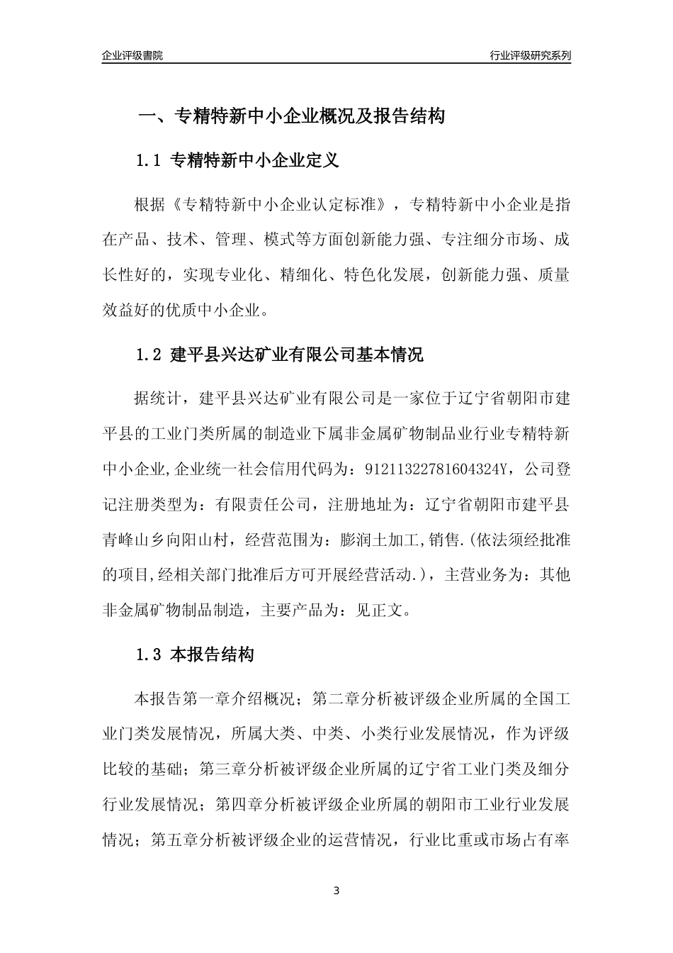 [专精特新]建平县兴达矿业有限公司行业竞争力评级分析报告(2023版)_第3页