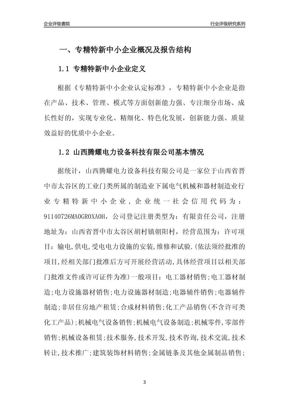 [专精特新]山西腾耀电力设备科技有限公司行业竞争力评级分析报告(2023版)_第3页