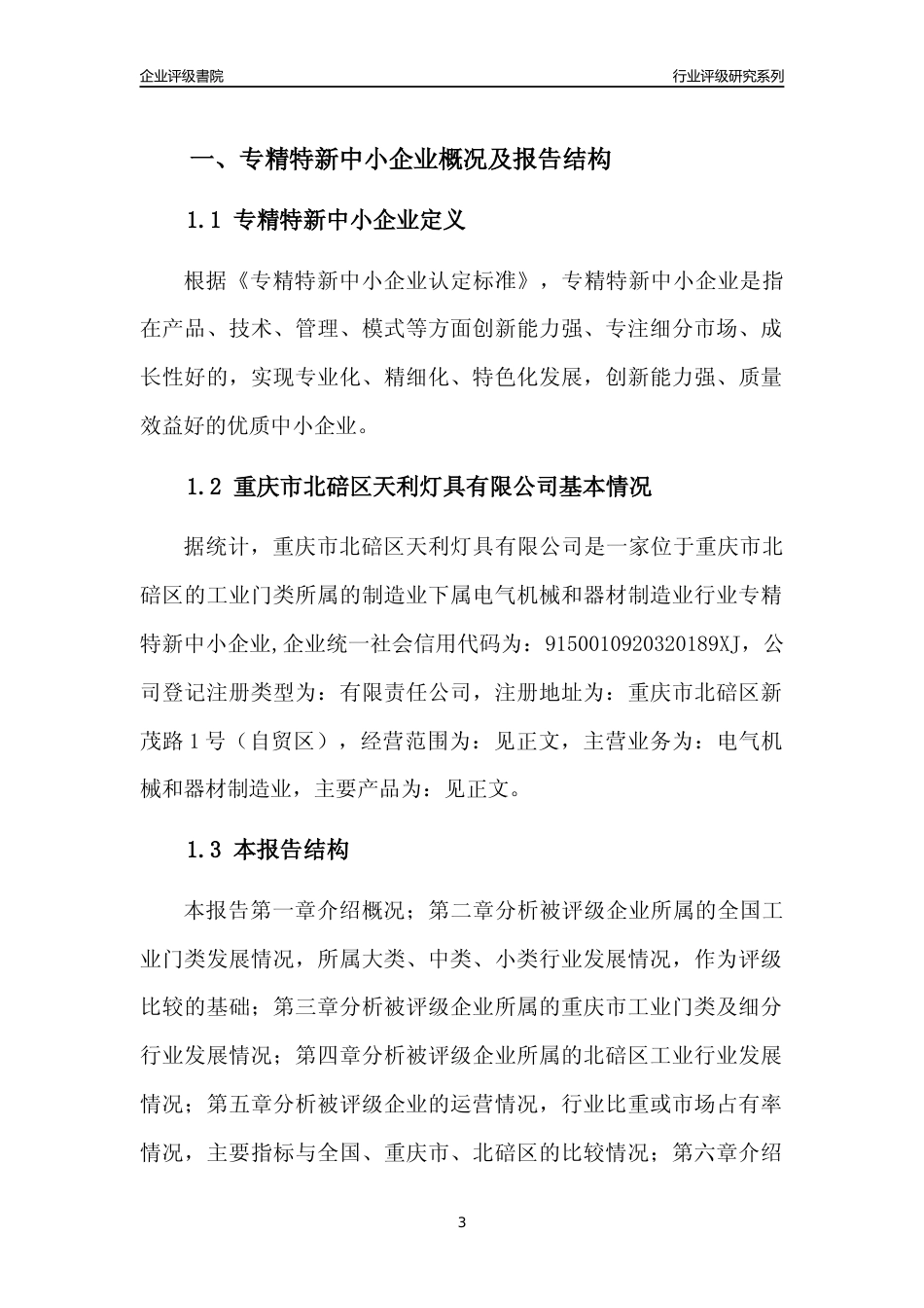 [专精特新]重庆市北碚区天利灯具有限公司行业竞争力评级分析报告(2023版)_第3页