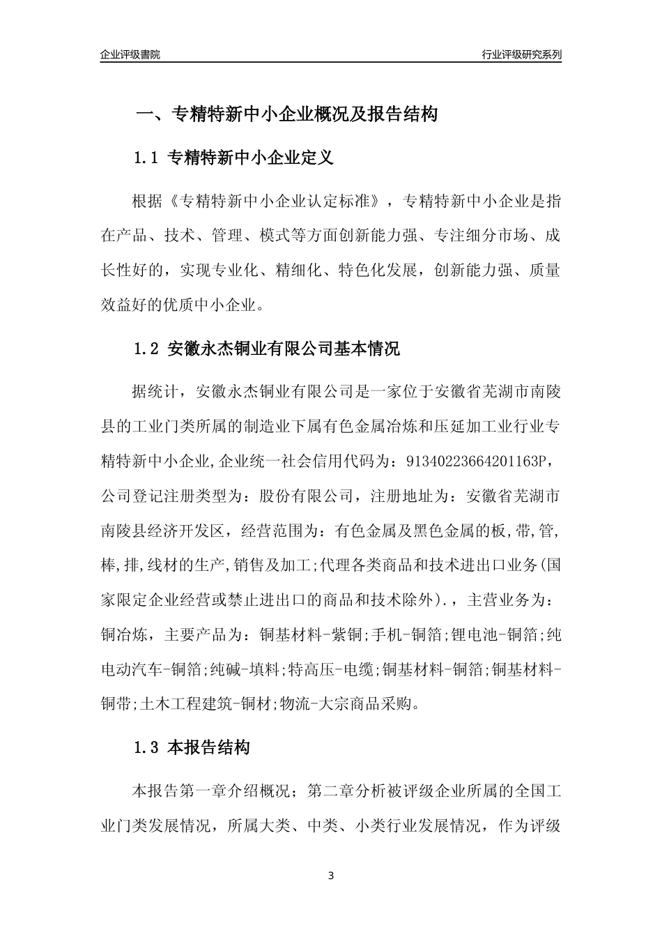 [专精特新]安徽永杰铜业有限公司行业竞争力评级分析报告(2023版)_第3页