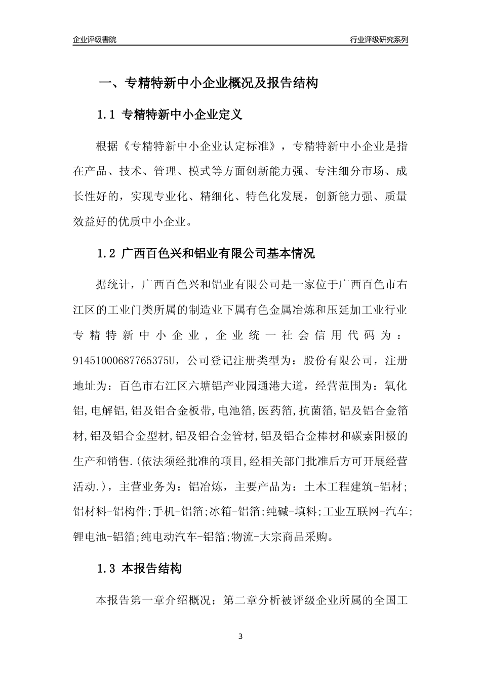 [专精特新]广西百色兴和铝业有限公司行业竞争力评级分析报告(2023版)_第3页