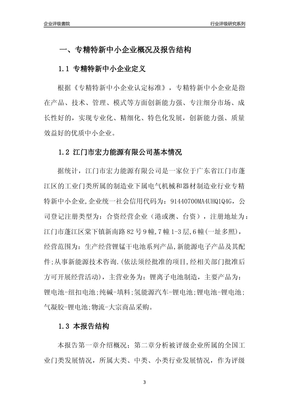 [专精特新]江门市宏力能源有限公司行业竞争力评级分析报告(2023版)_第3页