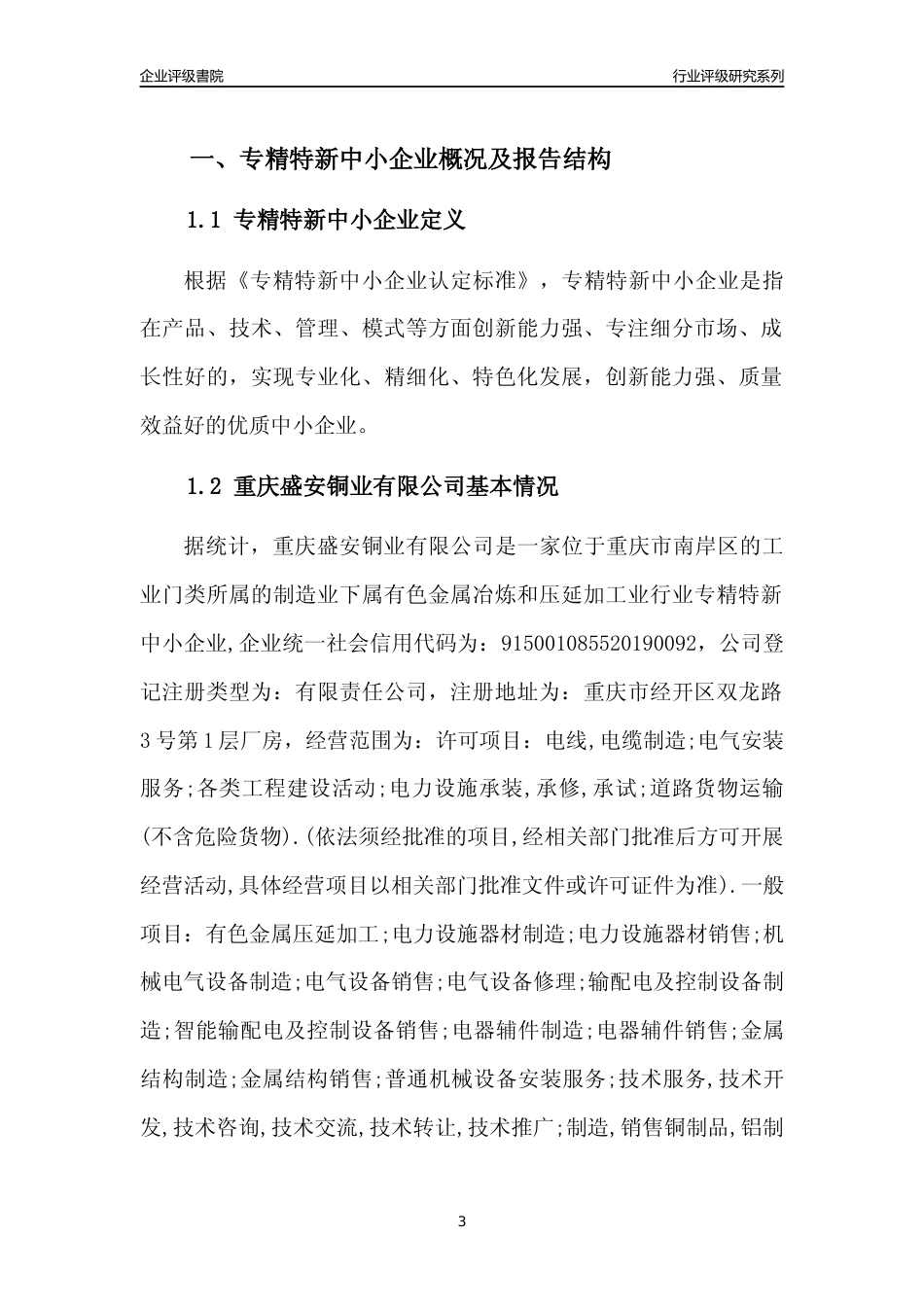 [专精特新]重庆盛安铜业有限公司行业竞争力评级分析报告(2023版)_第3页