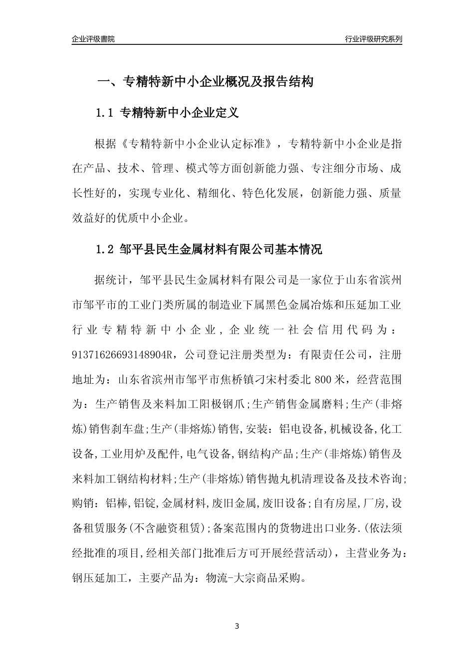 [专精特新]邹平县民生金属材料有限公司行业竞争力评级分析报告(2023版)_第3页