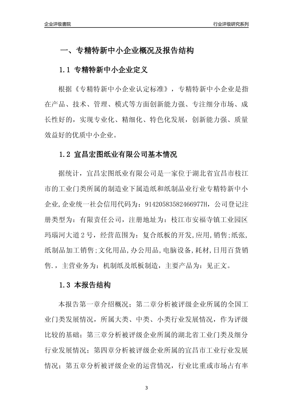 [专精特新]宜昌宏图纸业有限公司行业竞争力评级分析报告(2023版)_第3页