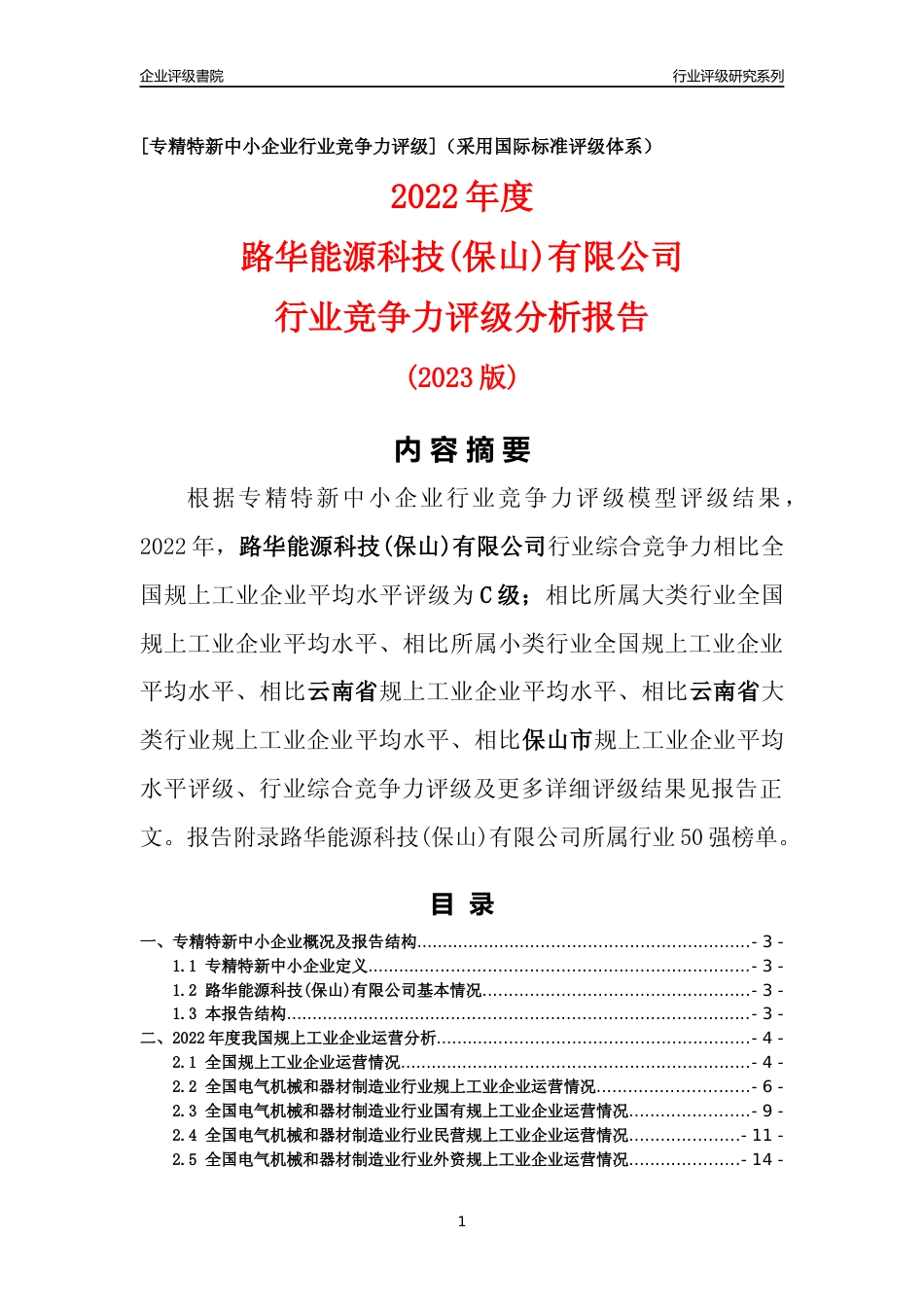 [专精特新]路华能源科技(保山)有限公司行业竞争力评级分析报告(2023版)_第1页