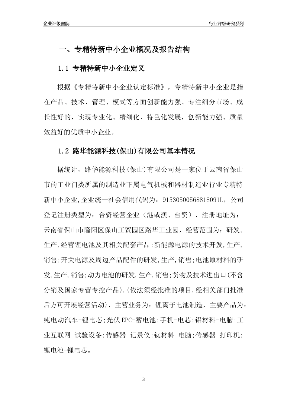 [专精特新]路华能源科技(保山)有限公司行业竞争力评级分析报告(2023版)_第3页
