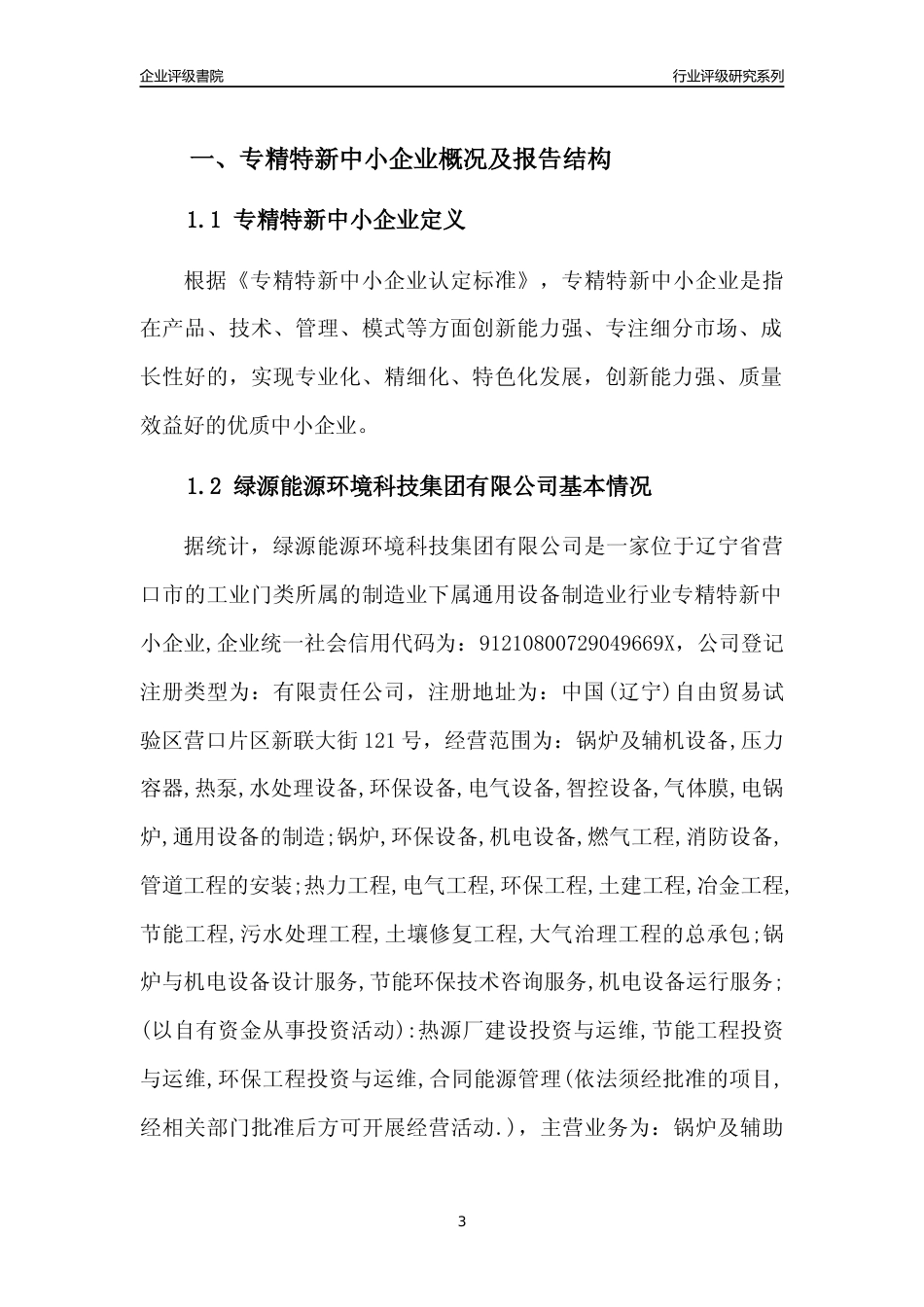 [专精特新]绿源能源环境科技集团有限公司行业竞争力评级分析报告(2023版)_第3页