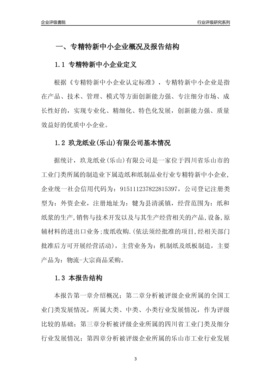 [专精特新]玖龙纸业(乐山)有限公司行业竞争力评级分析报告(2023版)_第3页