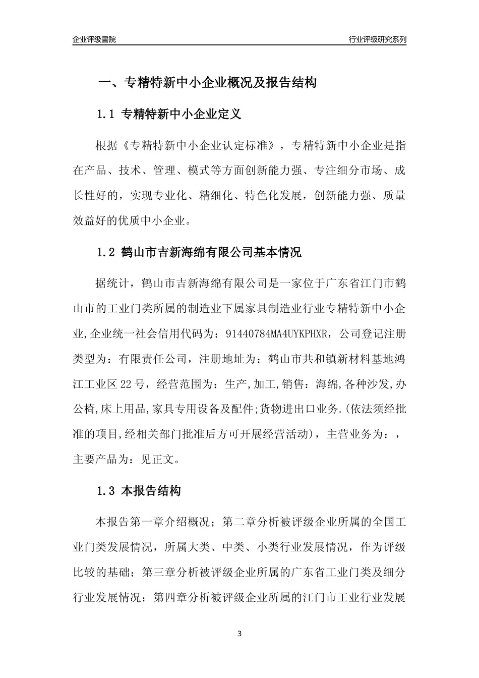 [专精特新]鹤山市吉新海绵有限公司行业竞争力评级分析报告(2023版)_第3页