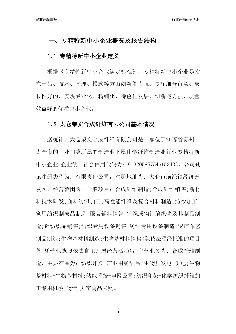 [专精特新]太仓荣文合成纤维有限公司行业竞争力评级分析报告(2023版)_第3页