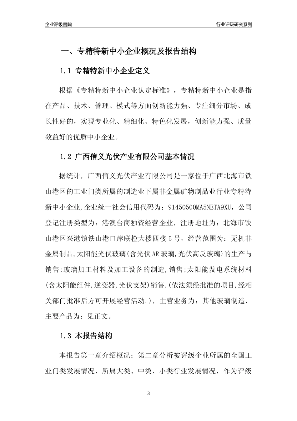 [专精特新]广西信义光伏产业有限公司行业竞争力评级分析报告(2023版)_第3页