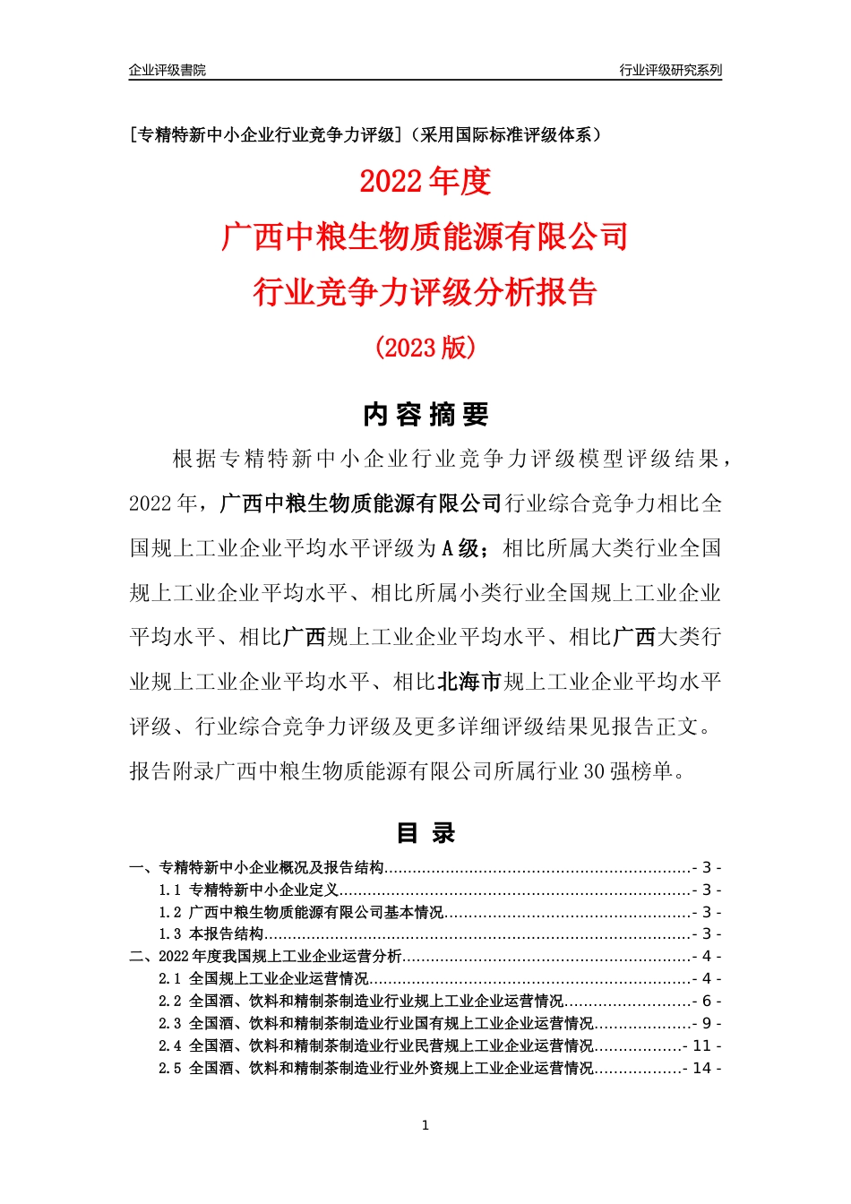 [专精特新]广西中粮生物质能源有限公司行业竞争力评级分析报告(2023版)_第1页