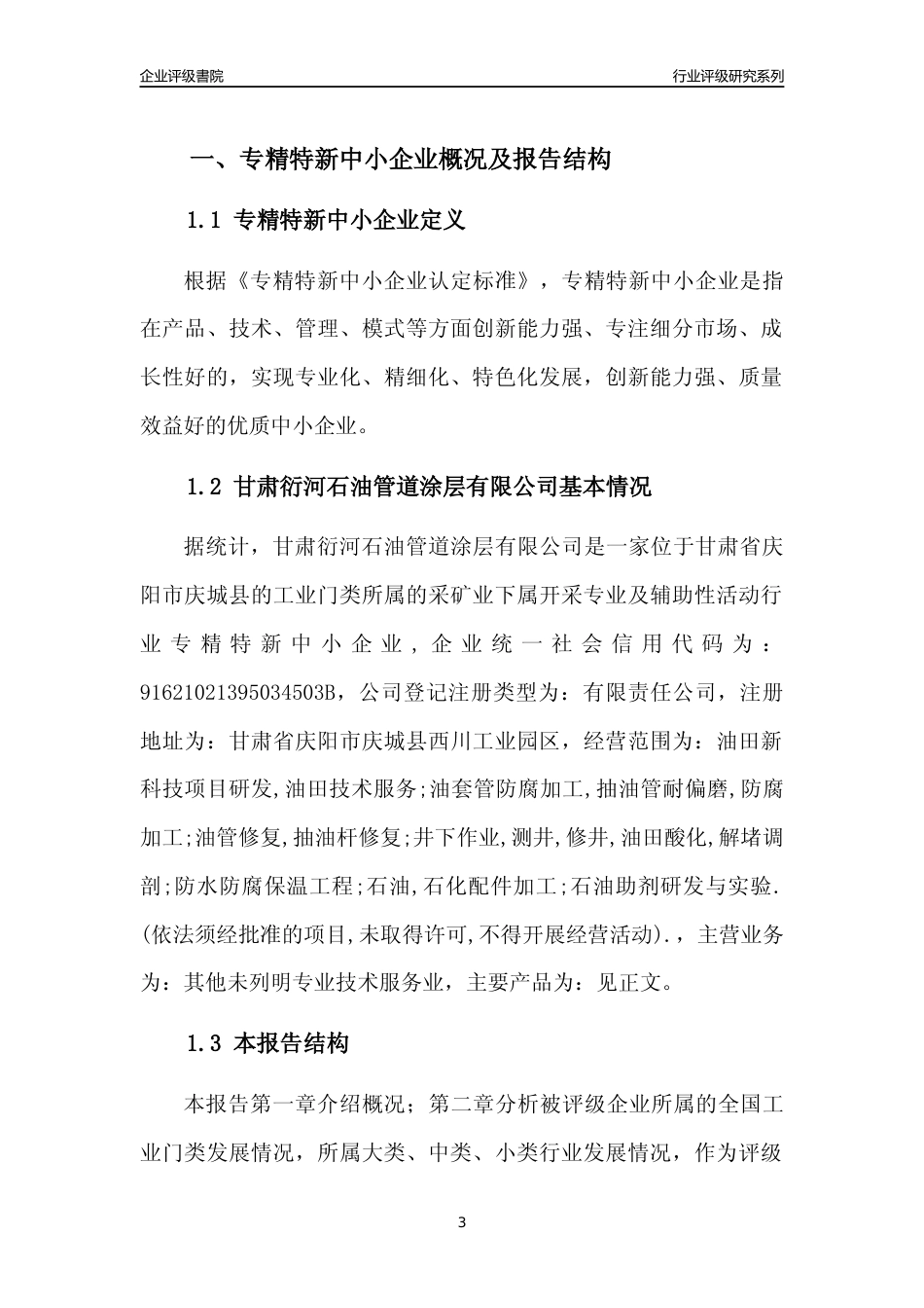 [专精特新]甘肃衍河石油管道涂层有限公司行业竞争力评级分析报告(2023版)_第3页