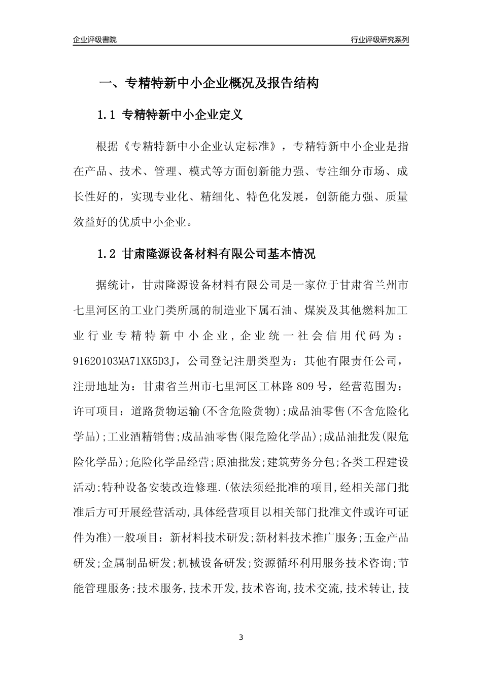 [专精特新]甘肃隆源设备材料有限公司行业竞争力评级分析报告(2023版)_第3页