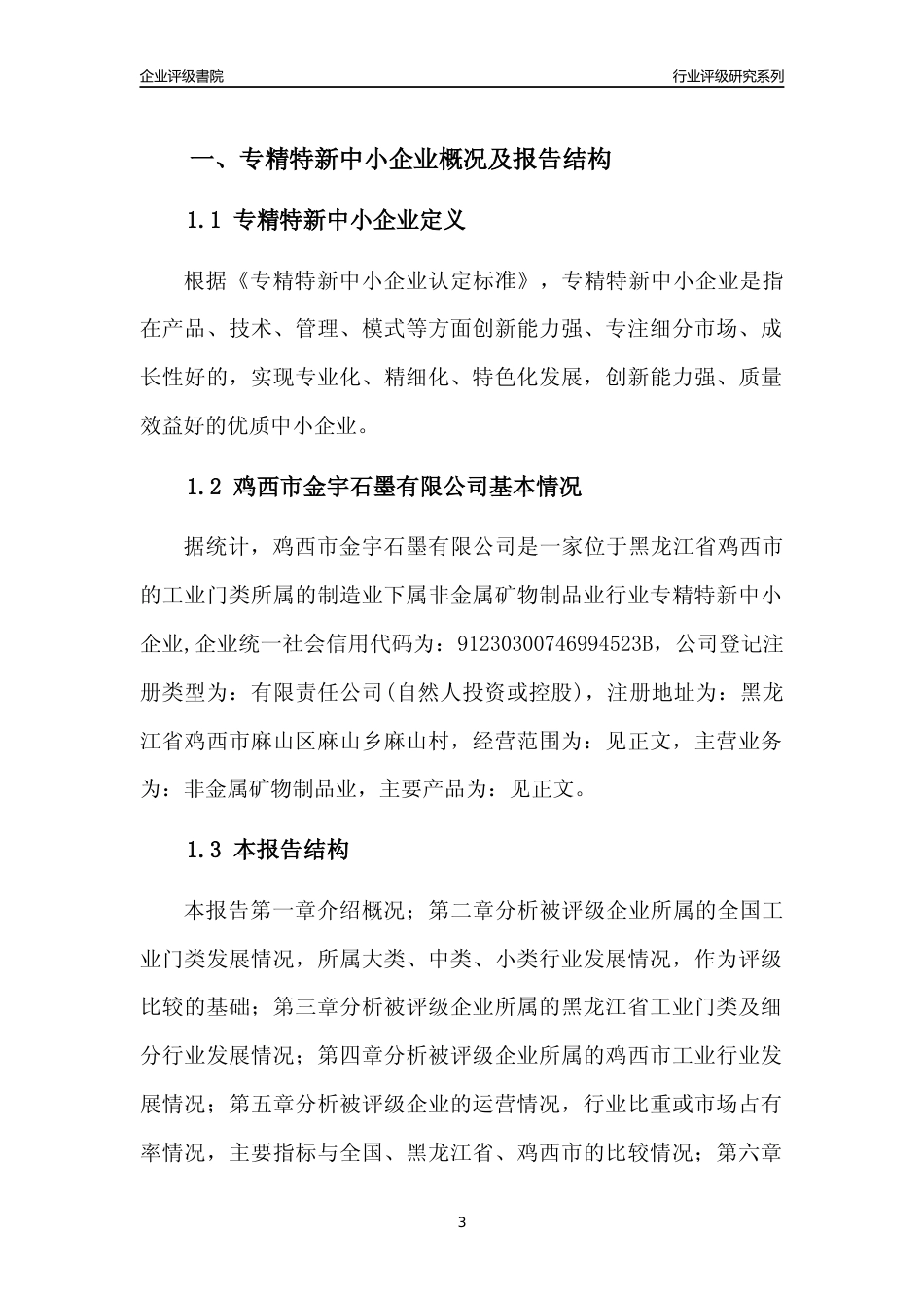 [专精特新]鸡西市金宇石墨有限公司行业竞争力评级分析报告(2023版)_第3页