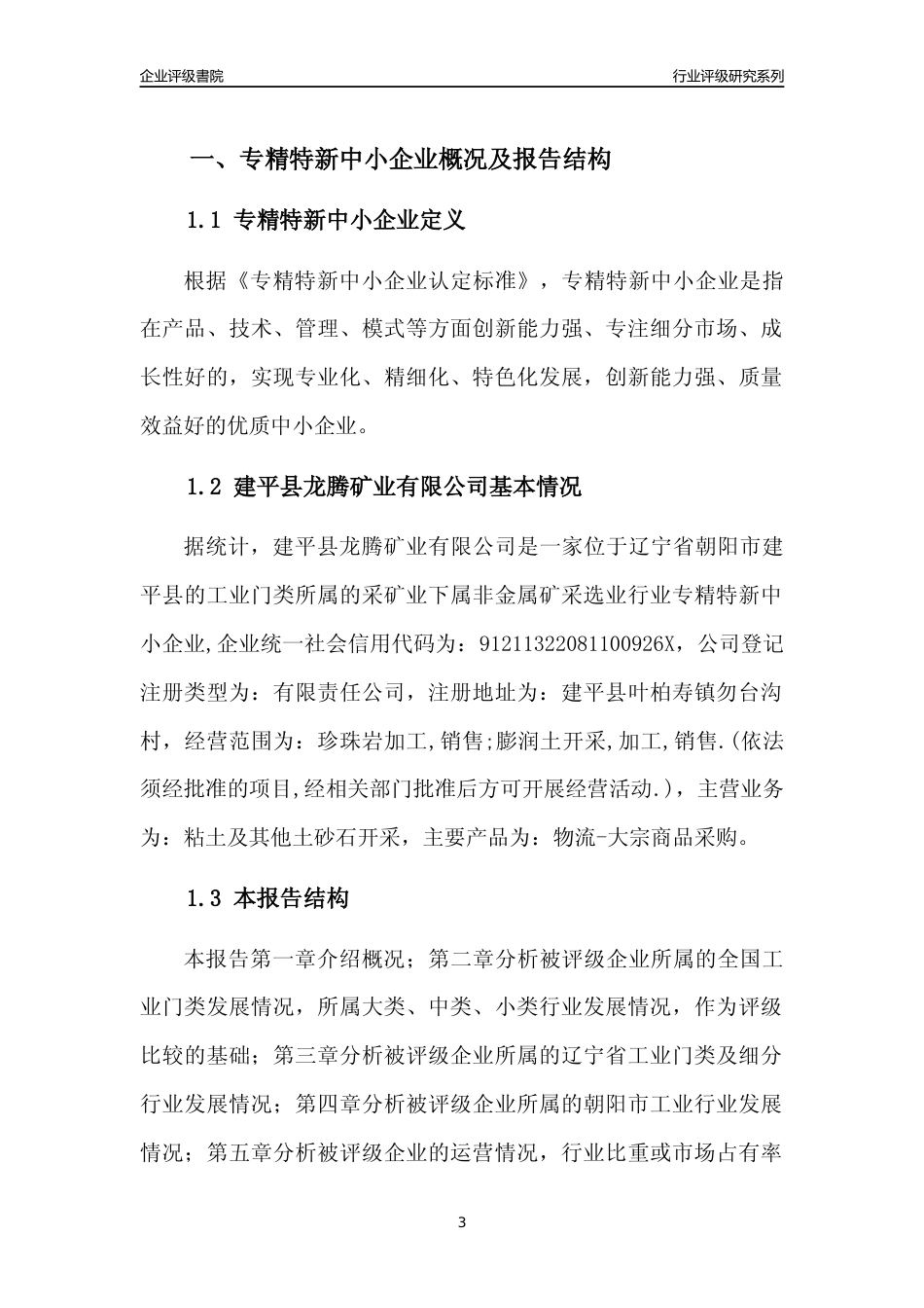 [专精特新]建平县龙腾矿业有限公司行业竞争力评级分析报告(2023版)_第3页