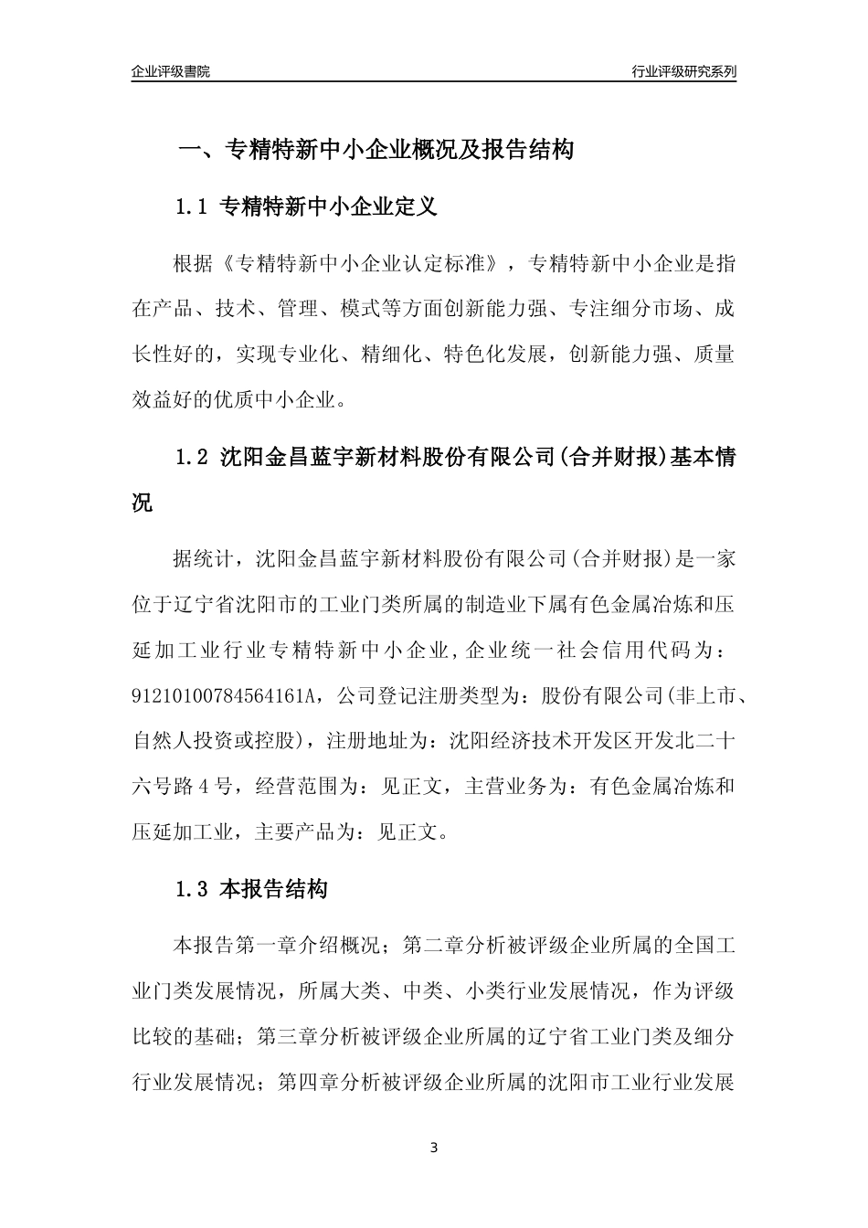 [专精特新]沈阳金昌蓝宇新材料股份有限公司(合并财报)行业竞争力评级分析报告(2023版)_第3页