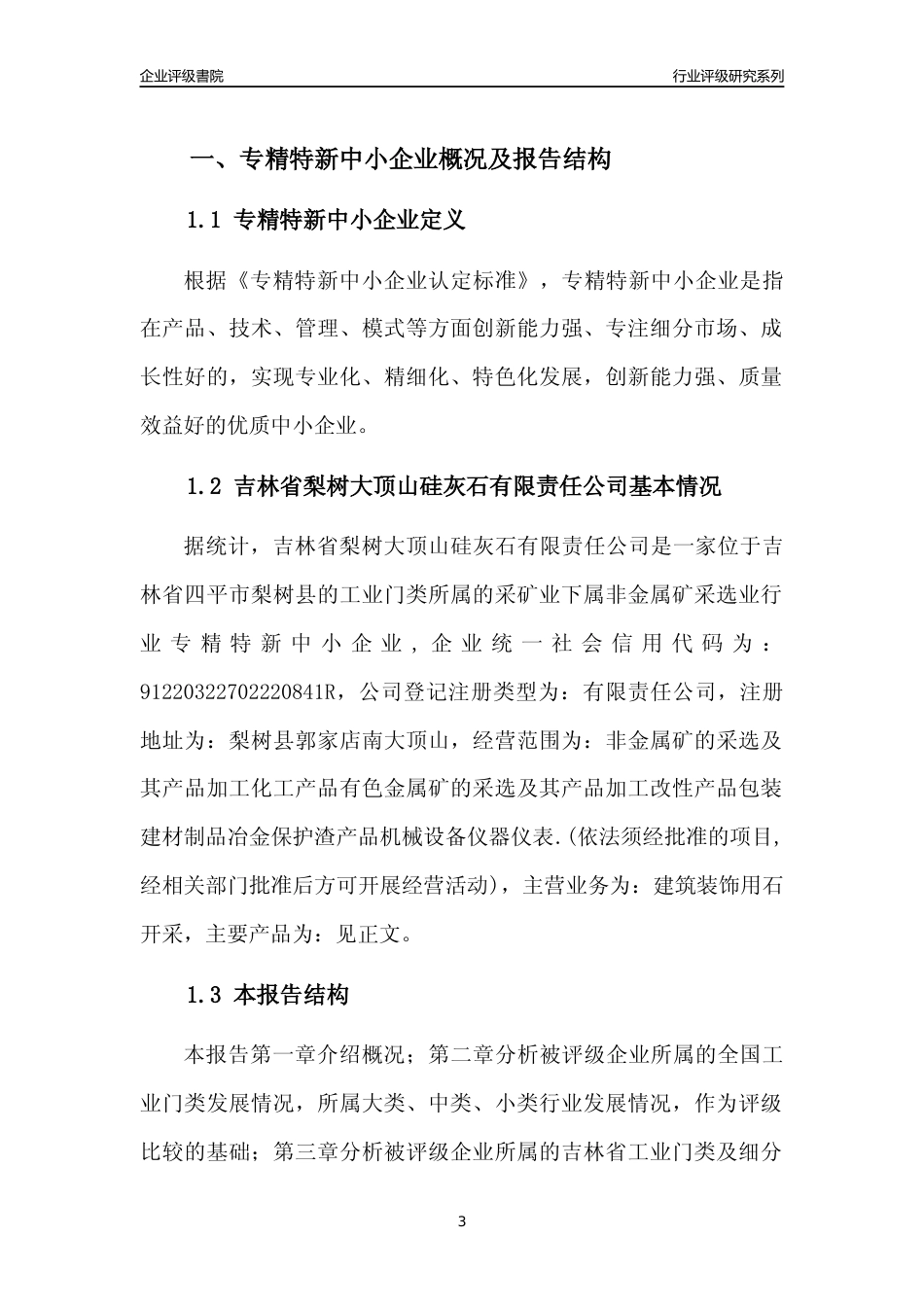[专精特新]吉林省梨树大顶山硅灰石有限责任公司行业竞争力评级分析报告(2023版)_第3页