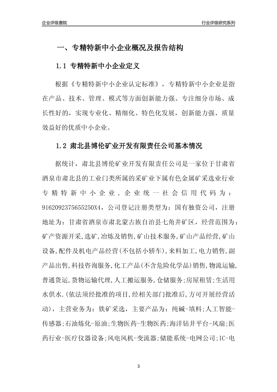 [专精特新]肃北县博伦矿业开发有限责任公司行业竞争力评级分析报告(2023版)_第3页