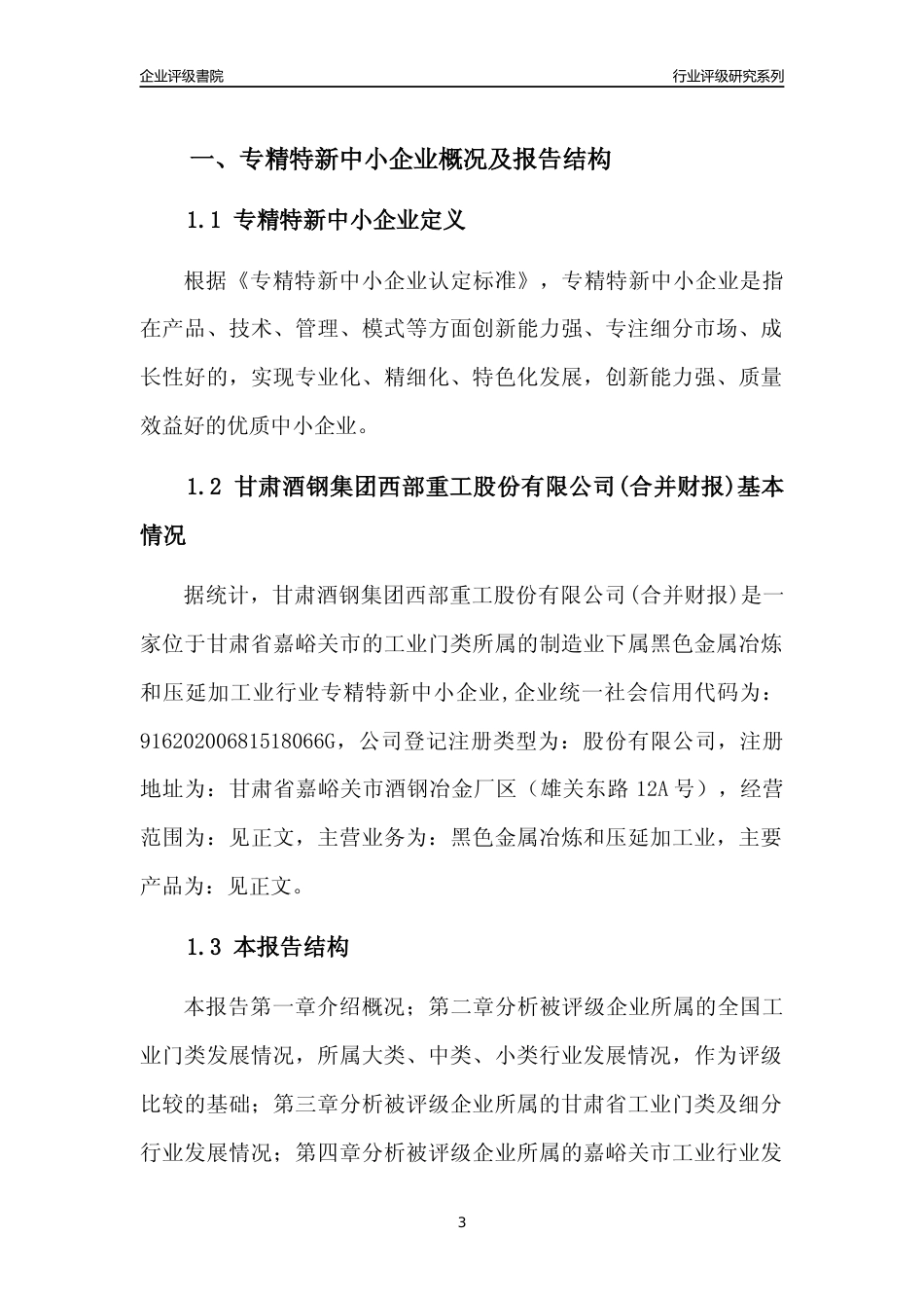 [专精特新]甘肃酒钢集团西部重工股份有限公司(合并财报)行业竞争力评级分析报告(2023版)_第3页