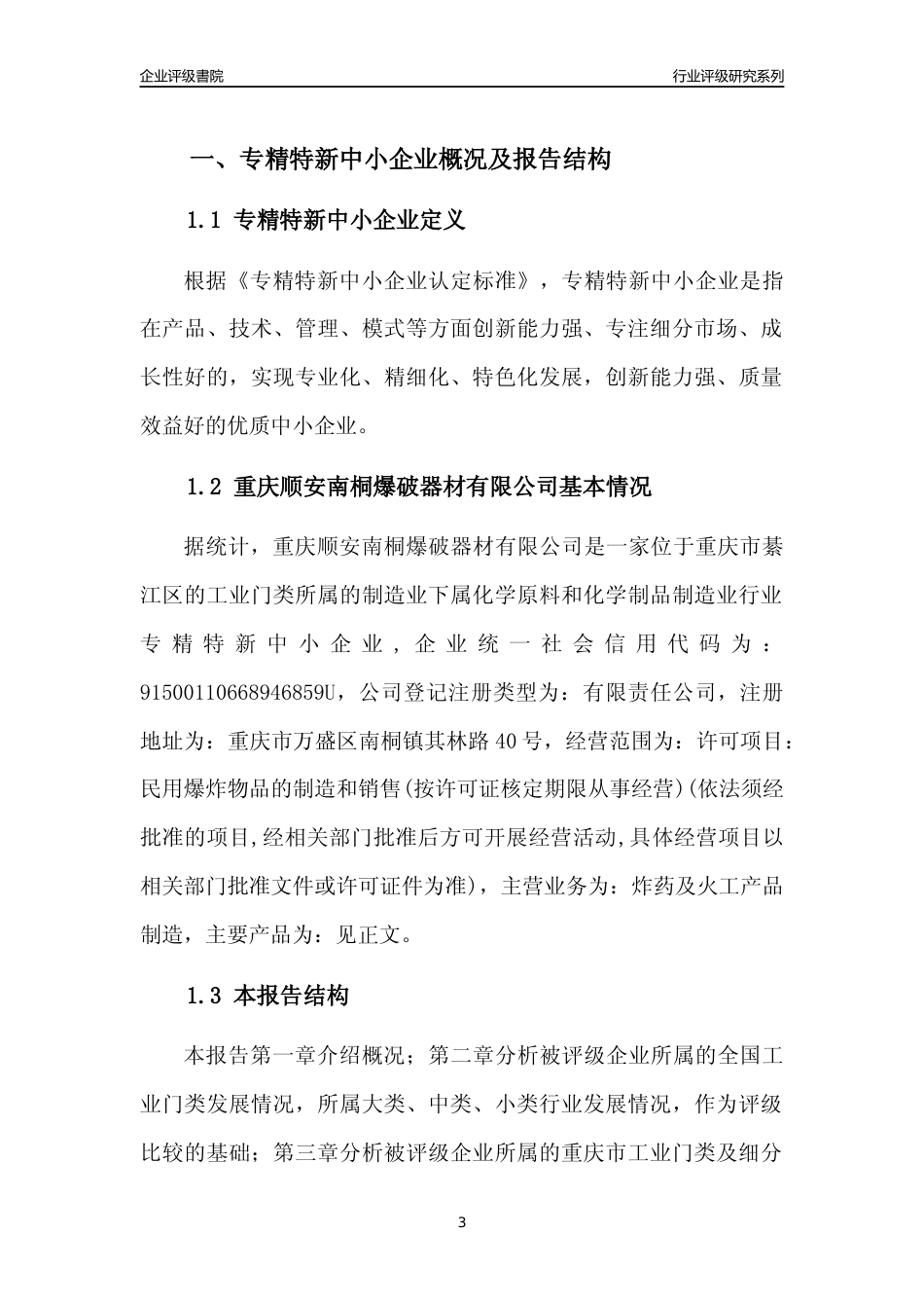 [专精特新]重庆顺安南桐爆破器材有限公司行业竞争力评级分析报告(2023版)_第3页