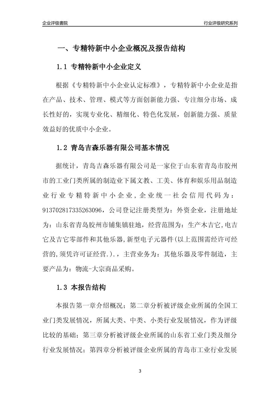 [专精特新]青岛吉森乐器有限公司行业竞争力评级分析报告(2023版)_第3页