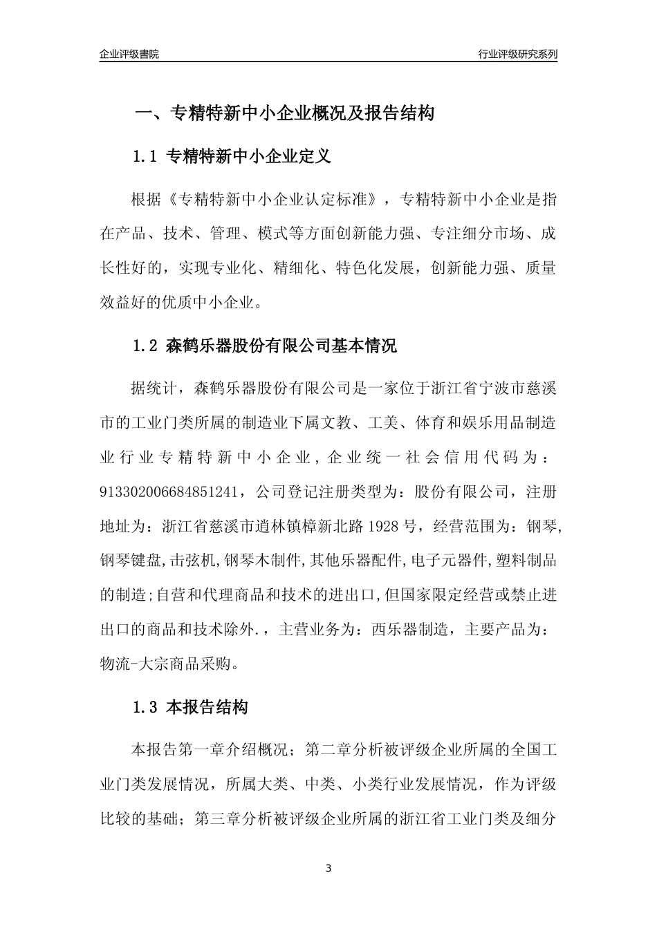 [专精特新]森鹤乐器股份有限公司行业竞争力评级分析报告(2023版)_第3页