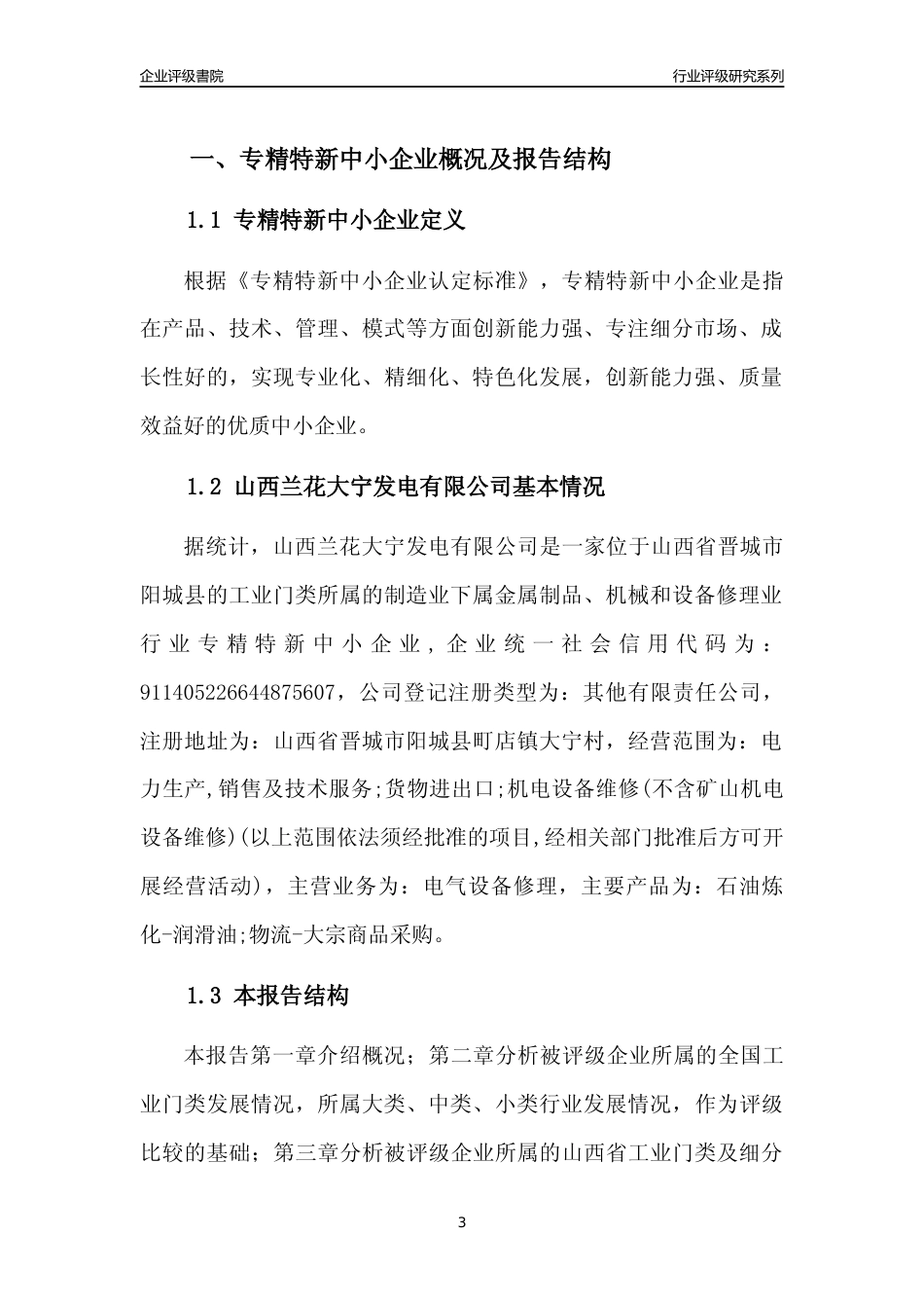 [专精特新]山西兰花大宁发电有限公司行业竞争力评级分析报告(2023版)_第3页