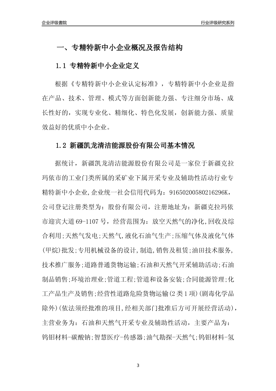 [专精特新]新疆凯龙清洁能源股份有限公司行业竞争力评级分析报告(2023版)_第3页