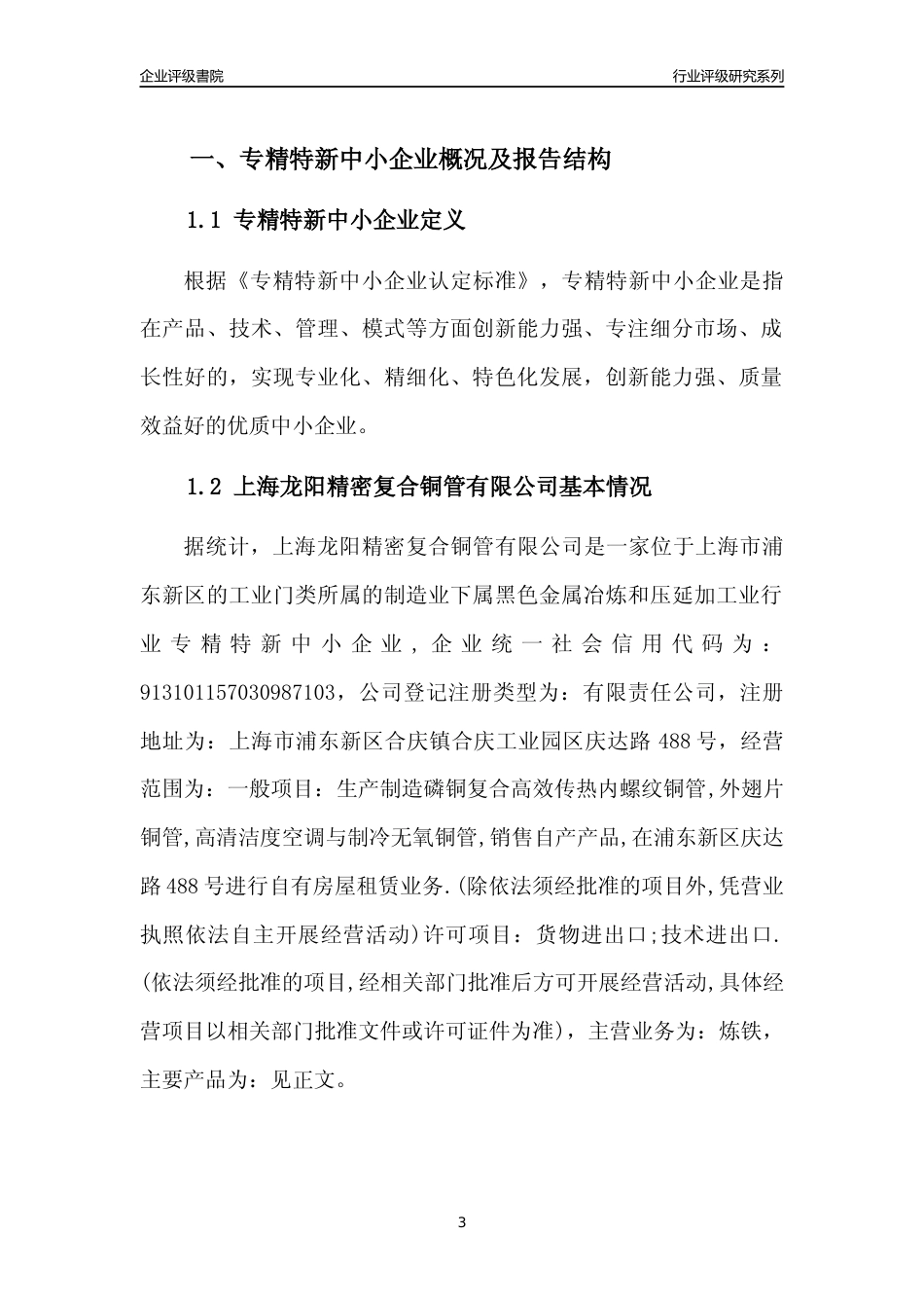[专精特新]上海龙阳精密复合铜管有限公司行业竞争力评级分析报告(2023版)_第3页