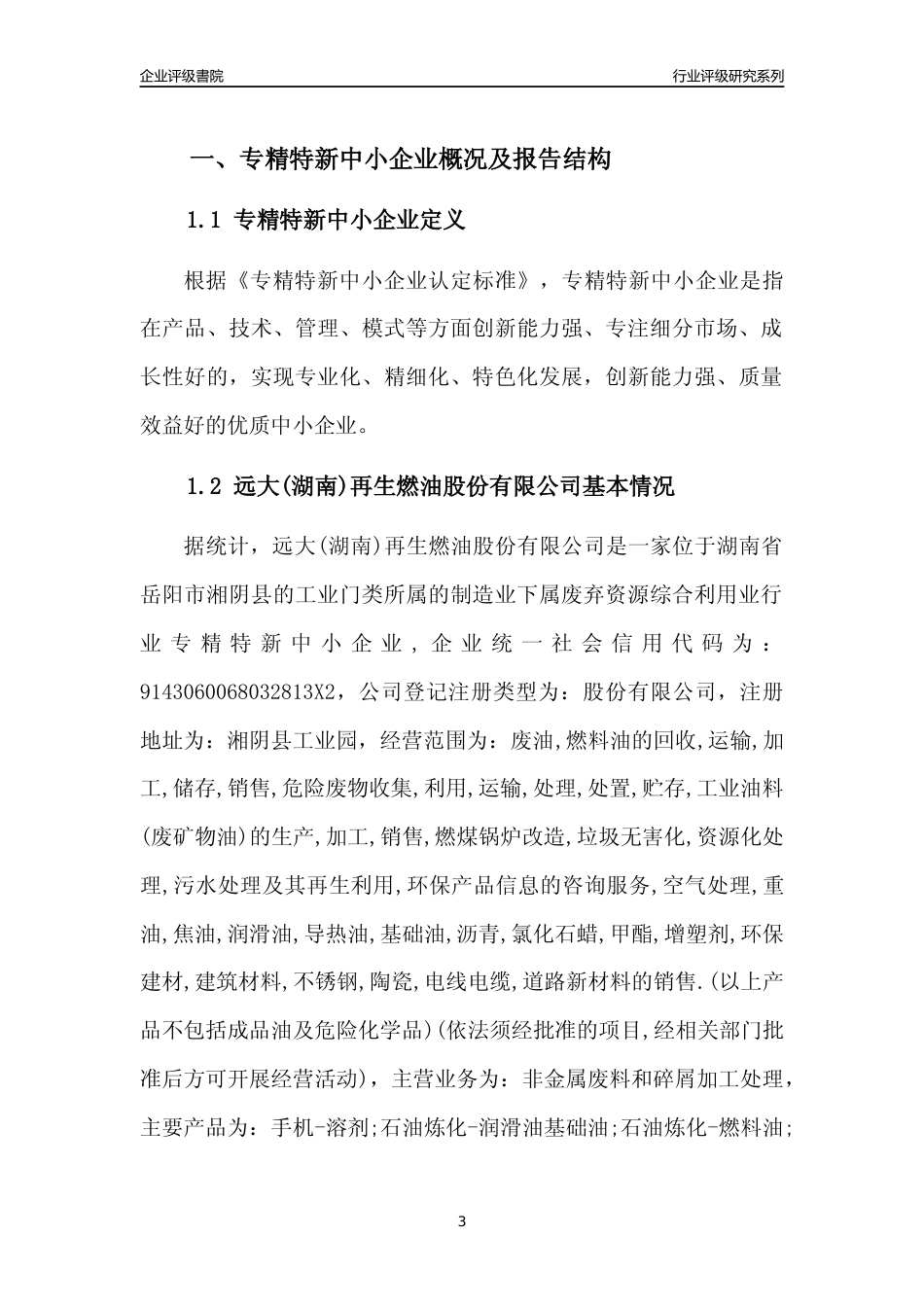 [专精特新]远大(湖南)再生燃油股份有限公司行业竞争力评级分析报告(2023版)_第3页