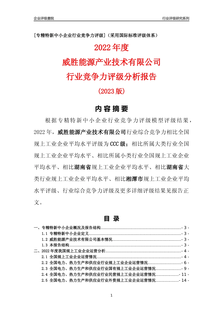 [专精特新]威胜能源产业技术有限公司行业竞争力评级分析报告(2023版)_第1页
