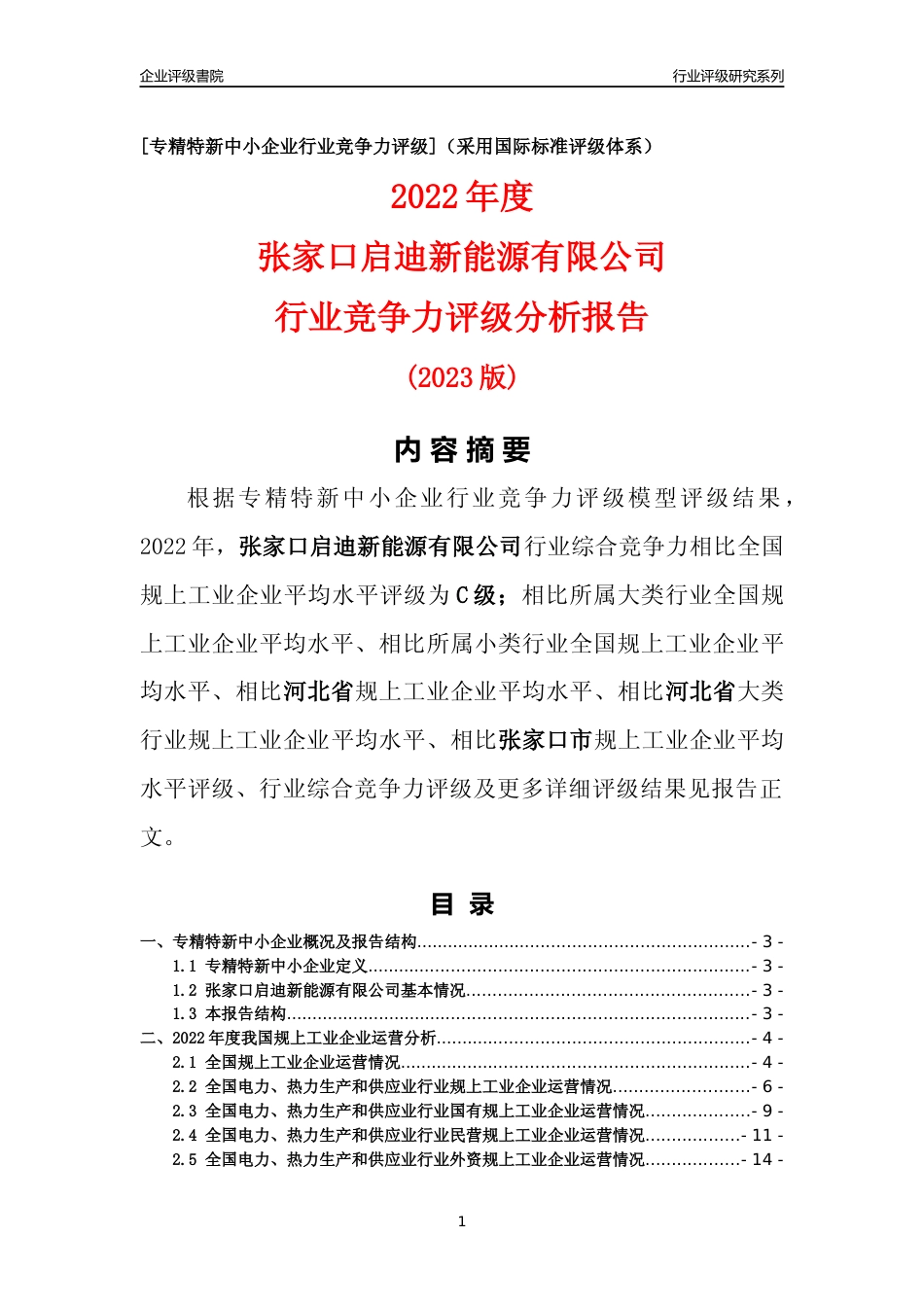 [专精特新]张家口启迪新能源有限公司行业竞争力评级分析报告(2023版)_第1页