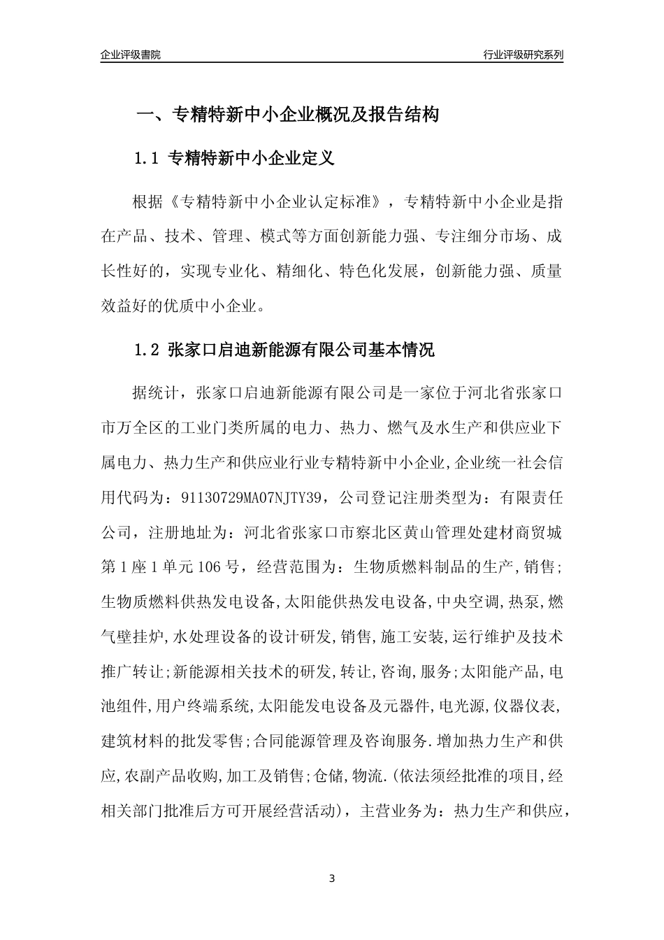 [专精特新]张家口启迪新能源有限公司行业竞争力评级分析报告(2023版)_第3页