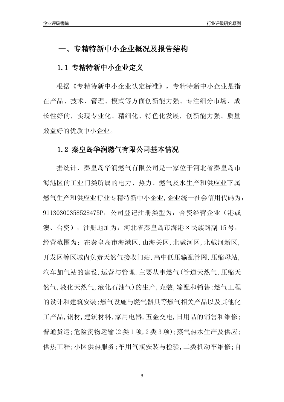 [专精特新]秦皇岛华润燃气有限公司行业竞争力评级分析报告(2023版)_第3页