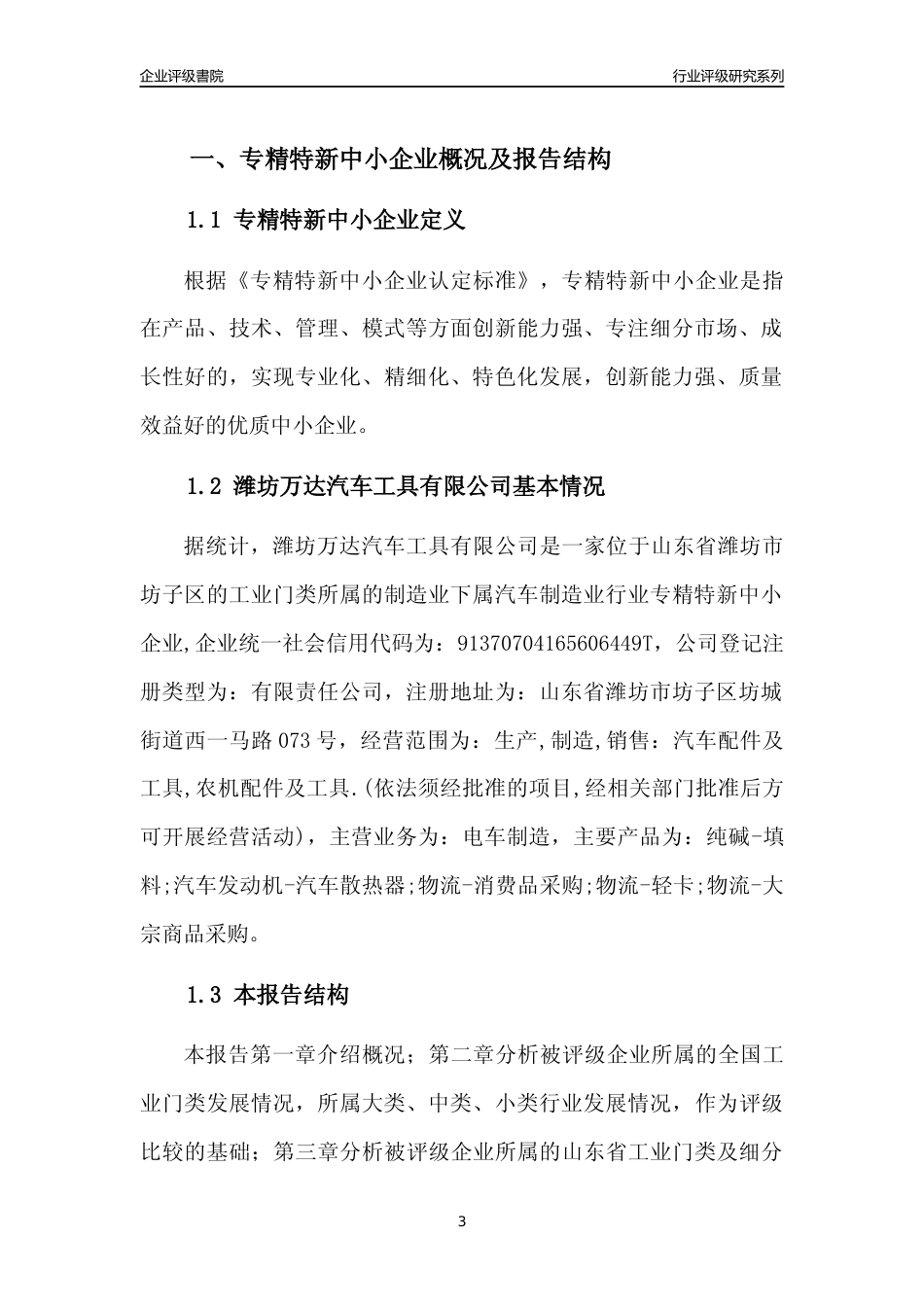[专精特新]潍坊万达汽车工具有限公司行业竞争力评级分析报告(2023版)_第3页